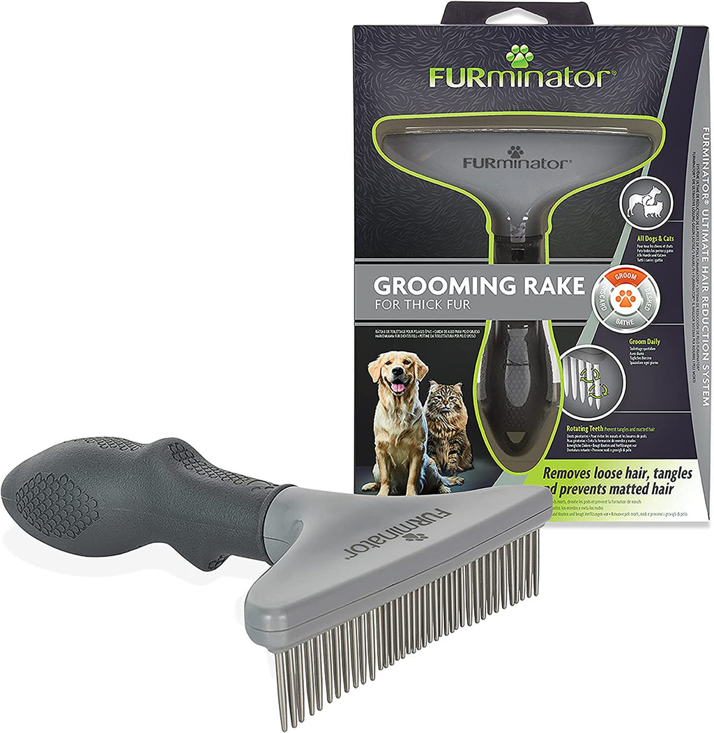 All dogs and cats hot sale grooming