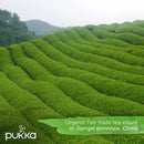 Pukka Tea Clean Matcha Green Envelopes 20's - GARDEN & PET SUPPLIES