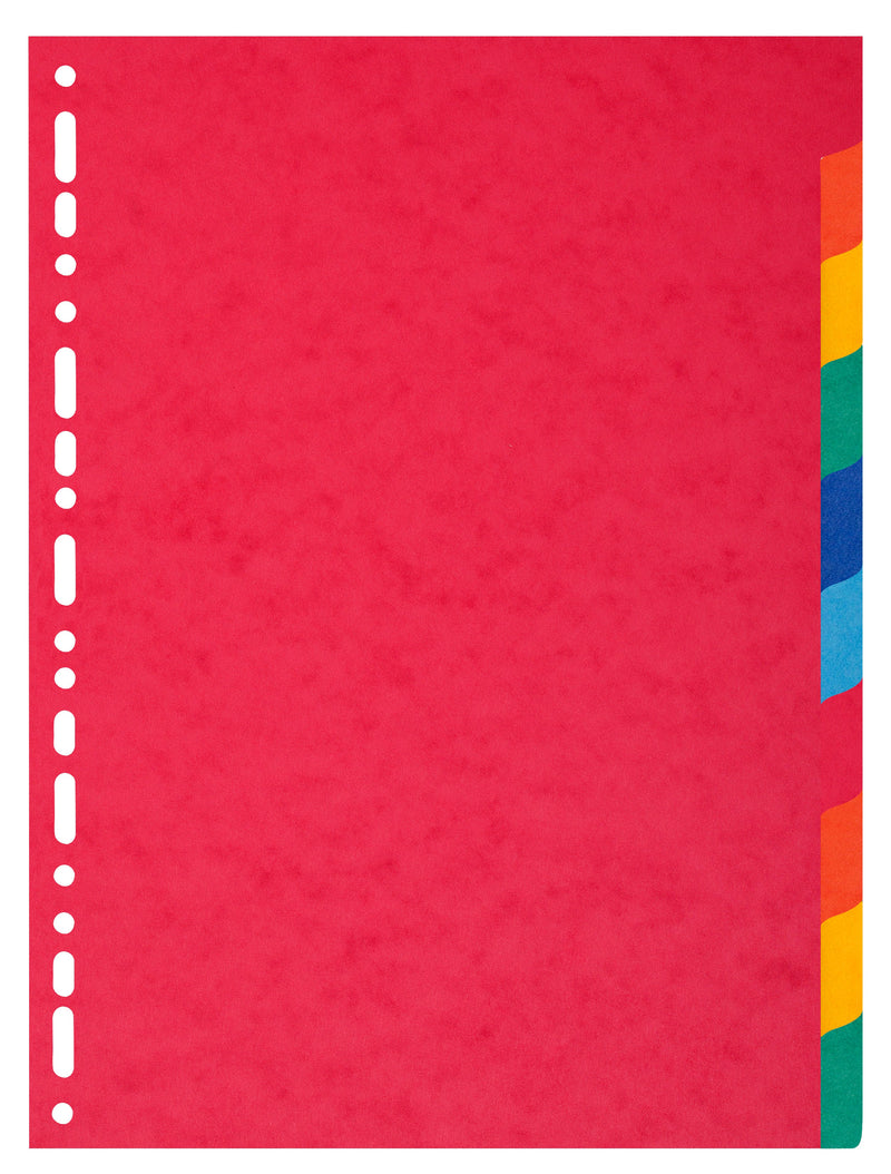 Exacompta Forever Recycled Divider 10 Part A4 Extra Wide 220gsm Card Vivid Assorted Colours - 2110E - GARDEN & PET SUPPLIES