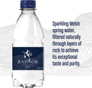 Radnor Hills Spring Still Water 24 x 330ml (Plastic Bottle) - GARDEN & PET SUPPLIES