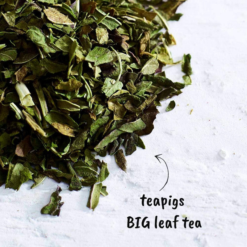 Teapigs Peppermint Leaves Loose Tea Made With Whole Leaves (1 x 100g)