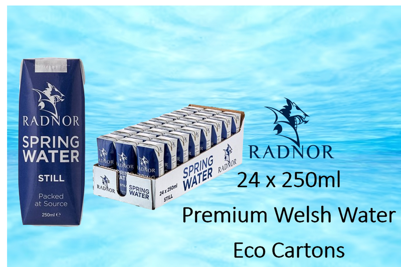 Radnor Hills Spring Still Water 24 x 250ml