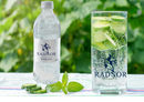 Radnor Hills Spring Sparkling Water 24 x 500ml (Plastic Bottle)