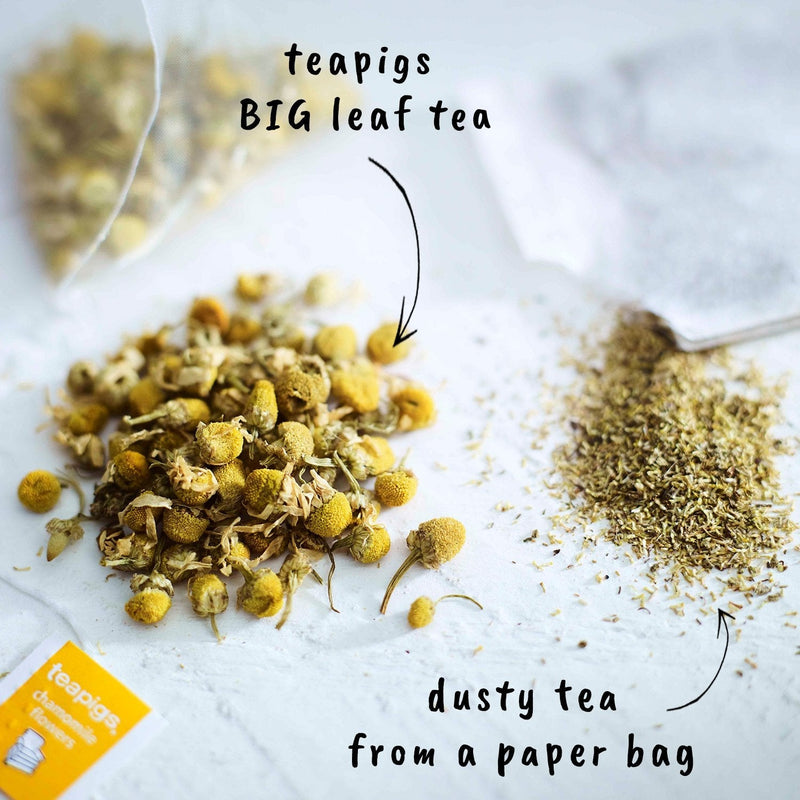 Teapigs Chamomile Leaves Loose Tea Made With Whole Leaves (1 x 100g)