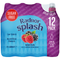 Radnor Splash Sugar Free Forest Fruits 12x500ml - GARDEN & PET SUPPLIES