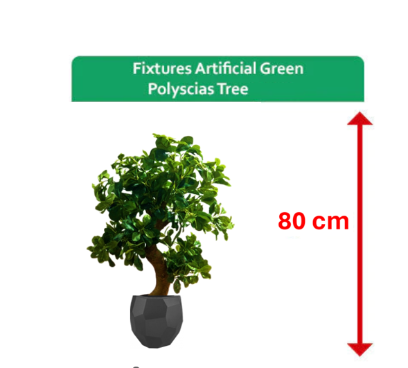 Fixtures Artificial Green Polyscias Tree 80cm