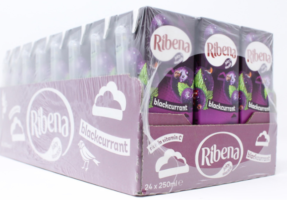 Ribena Blackcurrant Juice Kid Party Vitamin C Flavour Fruit Carton Pack 24x250ml - GARDEN & PET SUPPLIES