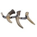 Eco Pet Small Antler Real Red Deer (Elk) Dog Chew