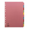 Concord Divider 10 Part A4 (2x5 Colours) 160gsm Board Pastel Assorted Colours - 72099/J20 - GARDEN & PET SUPPLIES