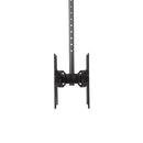 StarTech.com 32in to 75in Dual B2B Ceiling TV Mount - GARDEN & PET SUPPLIES