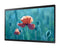 Samsung QB24R-B 23.8 Inch 1920 x 1080 Pixels Full HD Resolution HDMI USB Large Format Display - GARDEN & PET SUPPLIES