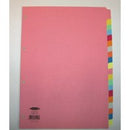 Concord Divider 20 Part A4 160gsm Board Pastel Assorted Colours - 74499/J44 - GARDEN & PET SUPPLIES