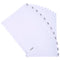 Exacompta Index Jan-Dec A4 160gsm Card White with White Mylar Tabs - MWDJ-DZ - GARDEN & PET SUPPLIES