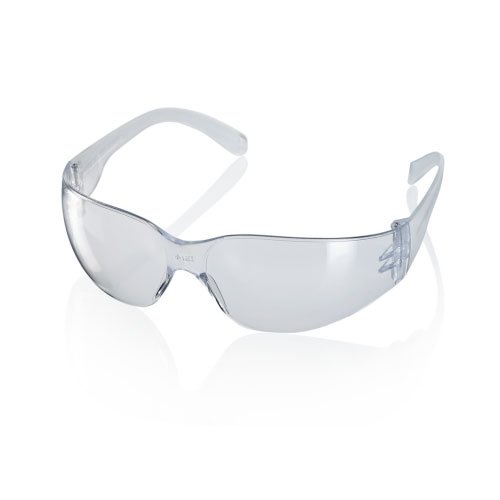 Ancona Clear Safety Spectacles - GARDEN & PET SUPPLIES