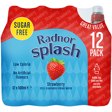 Radnor Splash Sugar Free Strawberry 12x500ml - GARDEN & PET SUPPLIES