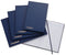 Guildhall Blue Account Book 80 Pages 298x305mm - GARDEN & PET SUPPLIES