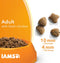 IAMS for Vitality dry cat food with chicken - dry food for cats aged 1-6 years, 800g