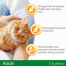 IAMS for Vitality dry cat food with chicken - dry food for cats aged 1-6 years, 800g