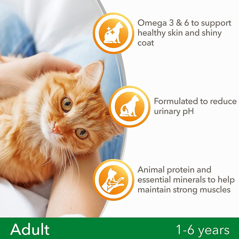 IAMS for Vitality dry cat food with chicken - dry food for cats aged 1-6 years, 800g