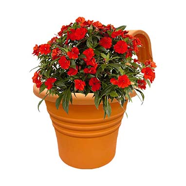 GARDEN & PET SUPPLIES - Fixtures Hang Easy Single Mint Green Eco Planter.