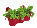 GARDEN & PET SUPPLIES - Elho Corsica Easy Hanger Trio Cranberry Red Planter {100% Recyclable}