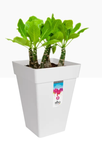 GARDEN & PET SUPPLIES - Elho Loft Urban Square High 30cm Planter WHITE