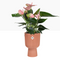 GARDEN & PET SUPPLIES - Elho Vibes Fold Coupe Display Pot 14cm DELICATE PINK