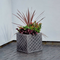 Strata Lazio Square Plastic Planter Plant Pot Grey 38cm