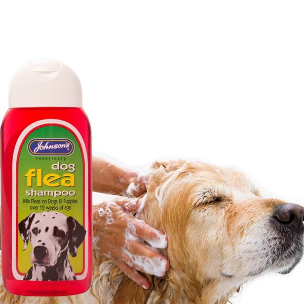 Johnsons dog outlet flea shampoo